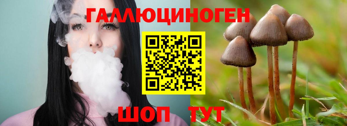 Нефтеюганск  Галлюциногенные грибы MAGIC MUSHROOMS  магазин  наркотиков  Псилоцибиновые грибы Psilocybine cubensis  Вход с VPN 